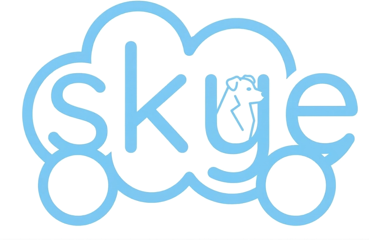 SkyeBus Brand Logo